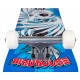 Birdhouse Stage 1 Hawk Spiral Blue 7.75IN