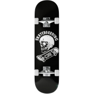 CORE C2 Skateboard (7.75" - Skull)