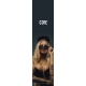 CORE Hot Girl Pro Scooter Grip Tape (Hot Girl)