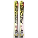 Fischer RC4 WC GS 170CM. DEFEKTAS.