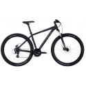 Dviratis 29" Bulls Wildtail 2 Disc vyr. 24g juodas matinis 46/51cm