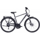 Dviratis 28" Pegasus Premio SL Disc27g vyr.pilkas 45/50/55cm