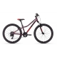 Dviratis Kellys Kiter 50 Dark Plum 24"