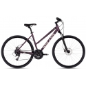 Dviratis Kellys Clea 90 Desert Purple