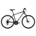 Dviratis Kellys Cliff 70 Moss Green 2026