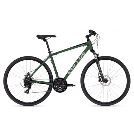 Dviratis Kellys Cliff 70 Moss Green 2026