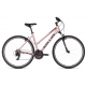 Dviratis Kellys Clea 10 Rose Gold 2026