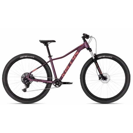 Dviratis Kellys Vanity X70 Rasberry 29'' 2026