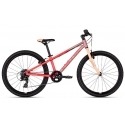 Dviratis Kellys Kiter 30 Coral Dream 24" 2026