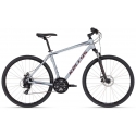 Dviratis Kellys Cliff 70 Glacial Grey 2026